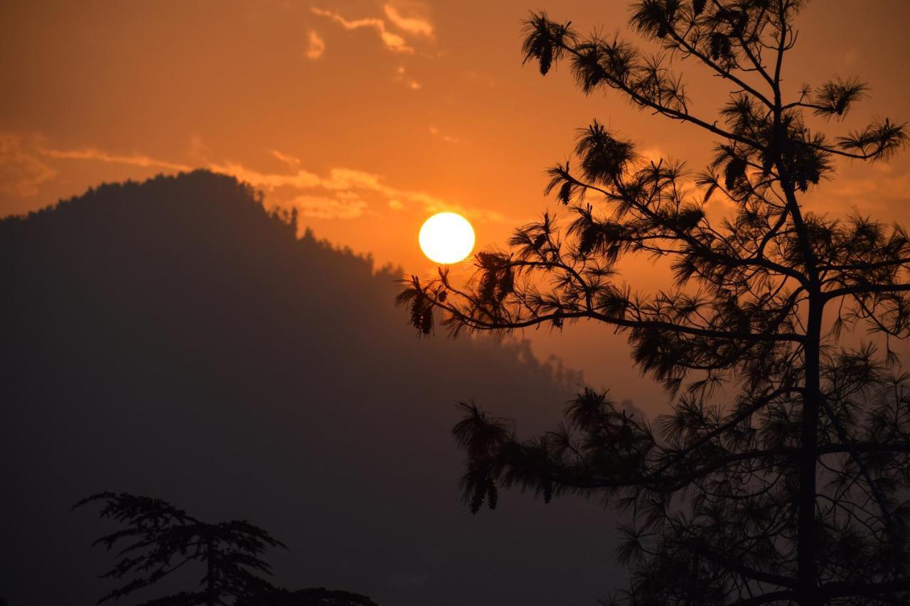 Aachman Nature Valley Resort, Mashobra Shimla Buitenkant foto