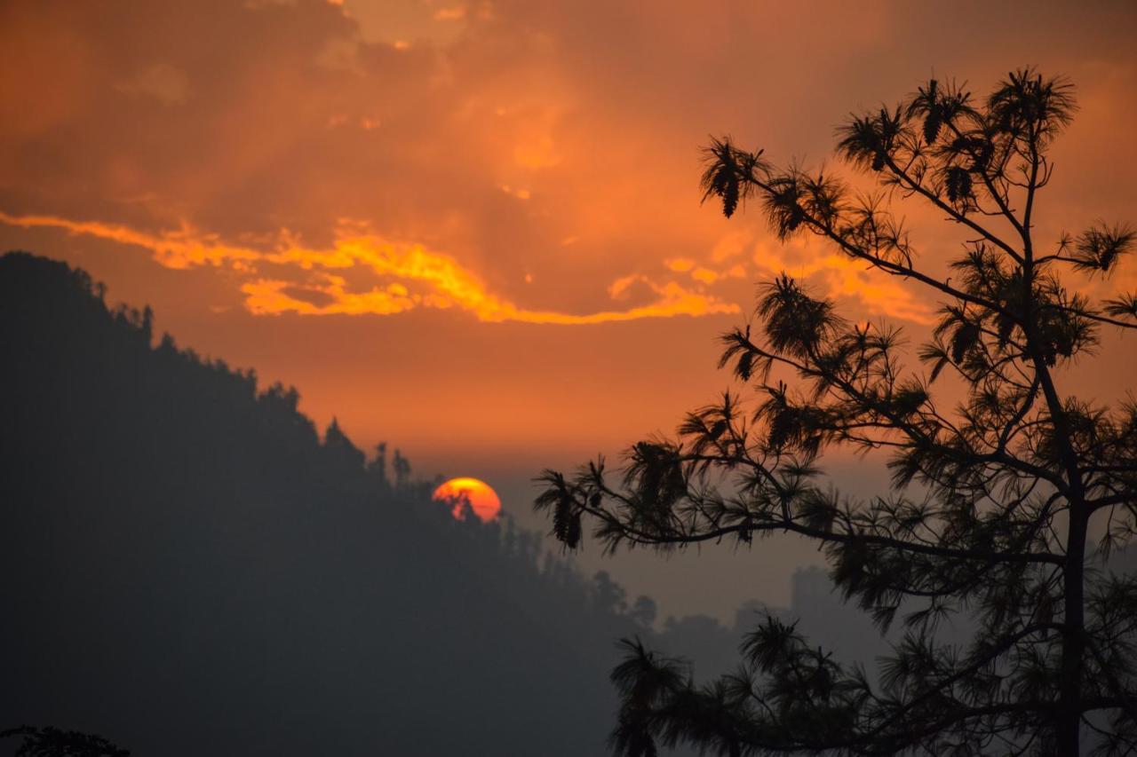 Aachman Nature Valley Resort, Mashobra Shimla Buitenkant foto